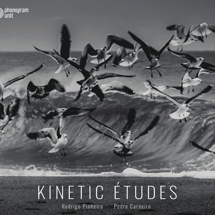 Kinetic Études