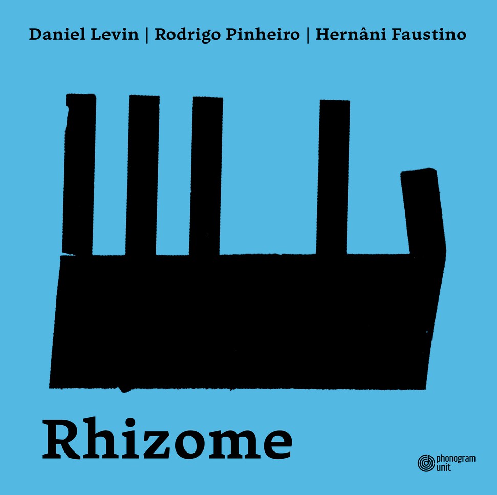 Rhizome